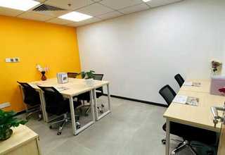 上海绿色黄花菜要多少钱