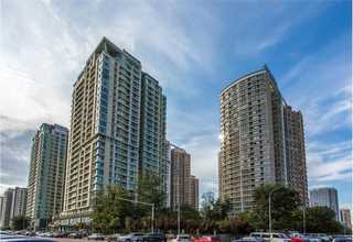 浙江有机糯米大概价格